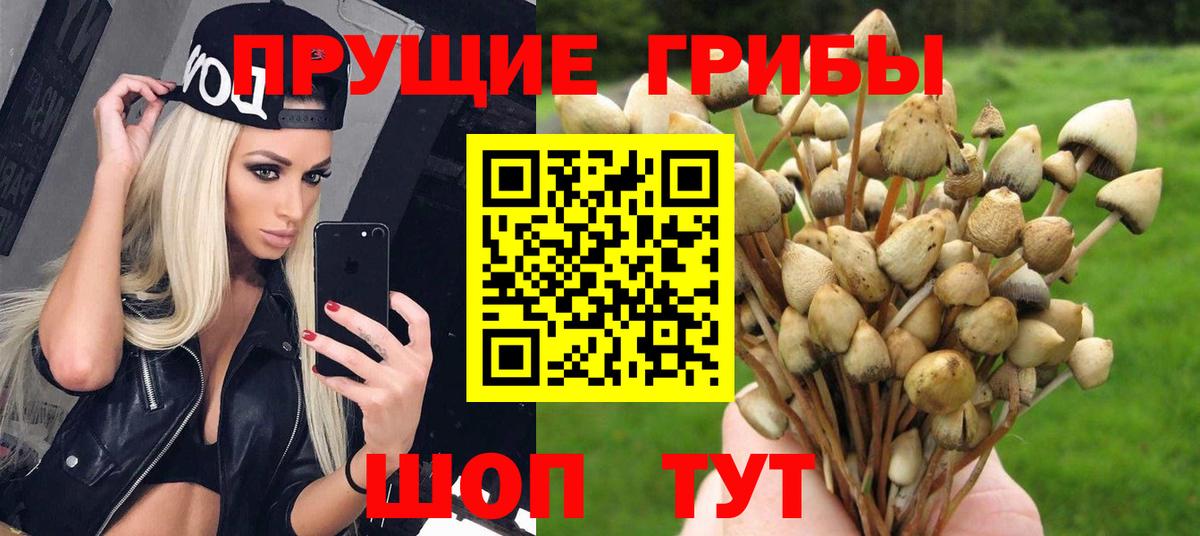 Галлюциногенные грибы Magic Shrooms Брянск